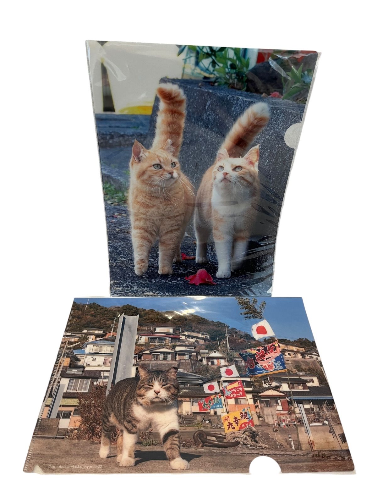 いのまたむつみ　クリアファイル　ねこ　３枚セット 61256U2SJFL._AC_SY200_QL15_.jpg