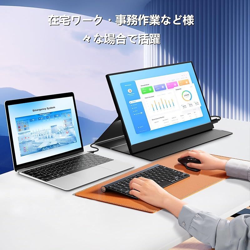 モバイルディスプレイ