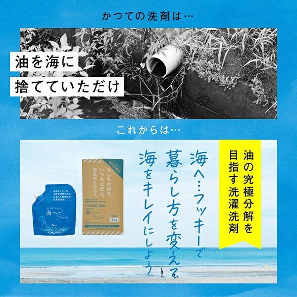海へ…Fukii