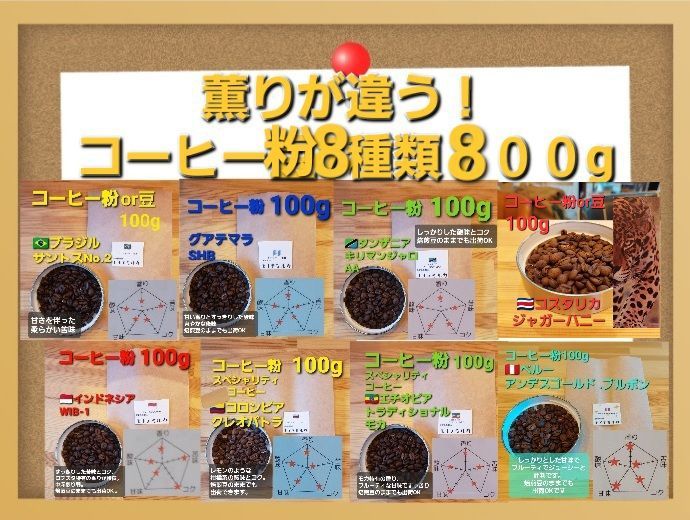 コーヒー粉or豆100g クレオパトラ www.vilakastel.rs