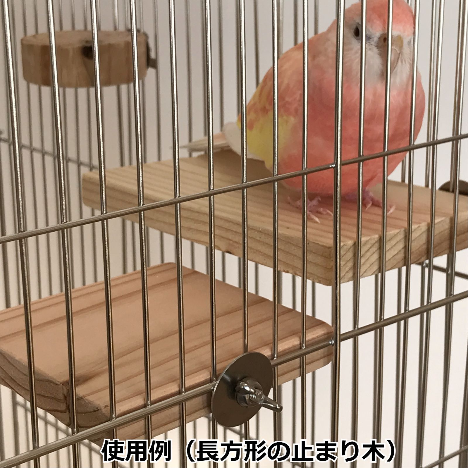 長方形止まり木(15×9センチ) インコ・小動物用ステップ - 鳥用品