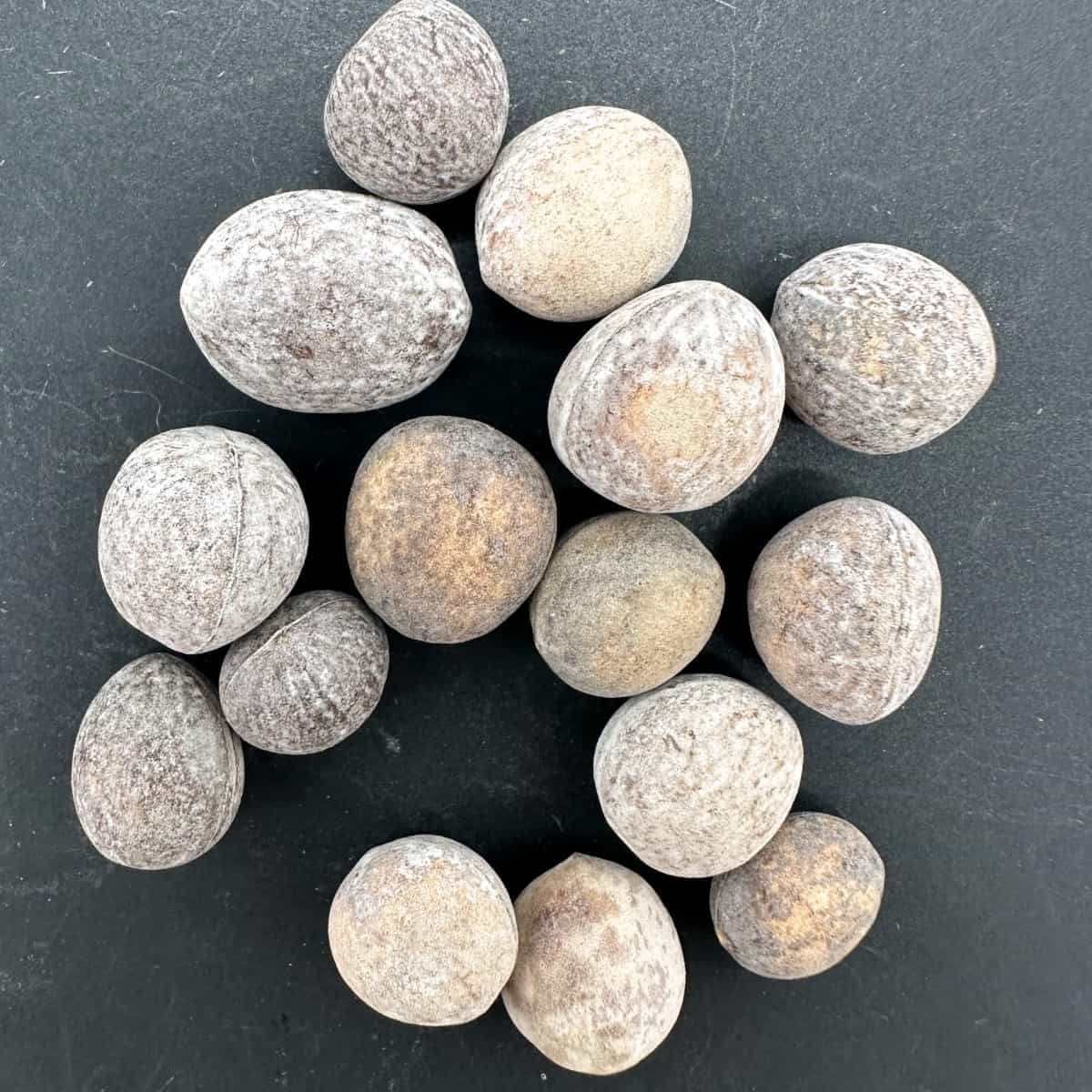 Christian Paul様 専用 YAMAHA YCL-452