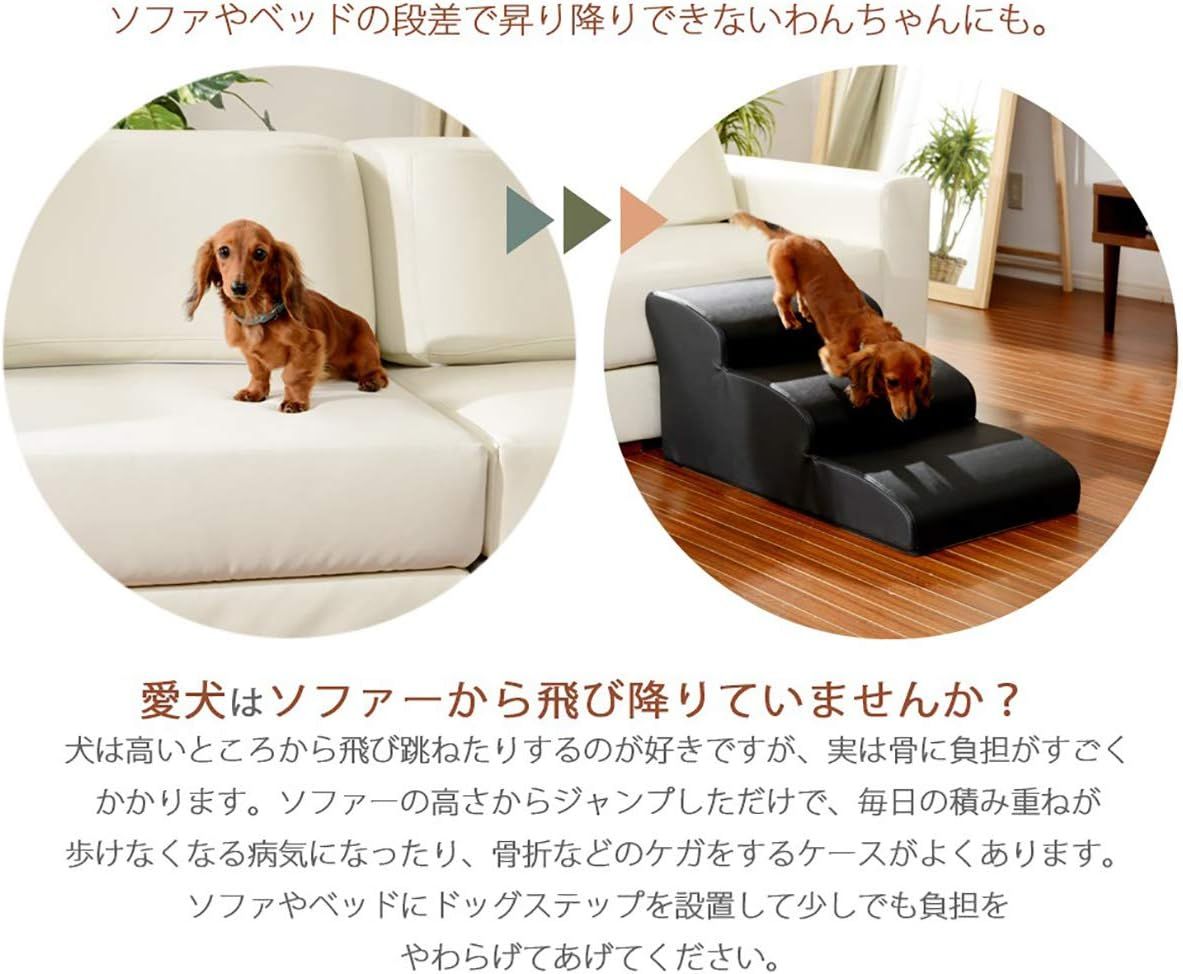 ドッグステップ