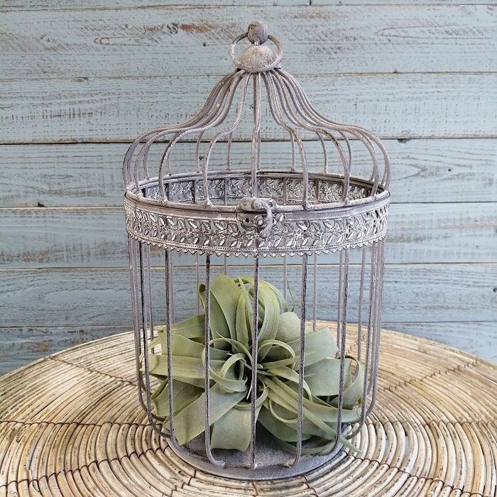 マズメ mazume×AIMSウェットスーツ 3点セット ロックショア