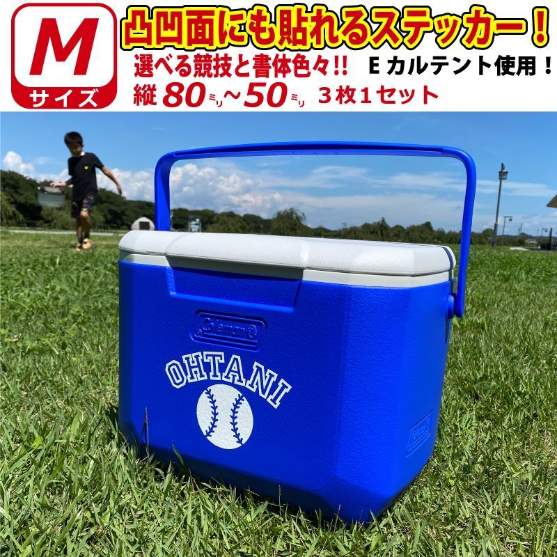 凸凹面なクーラーボックスにも貼れる！かっこいい! Mサイズ3枚 お好き