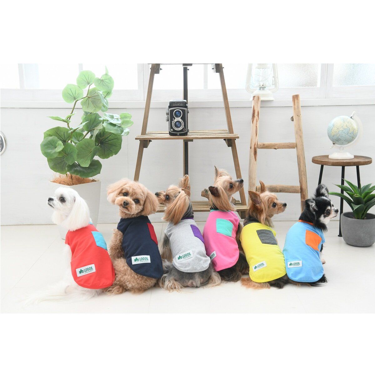 ロゴス ドッグシャツ 6色 セット 5 サイズ ct34730