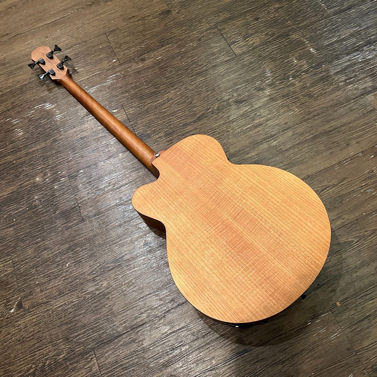 Aria Elecord