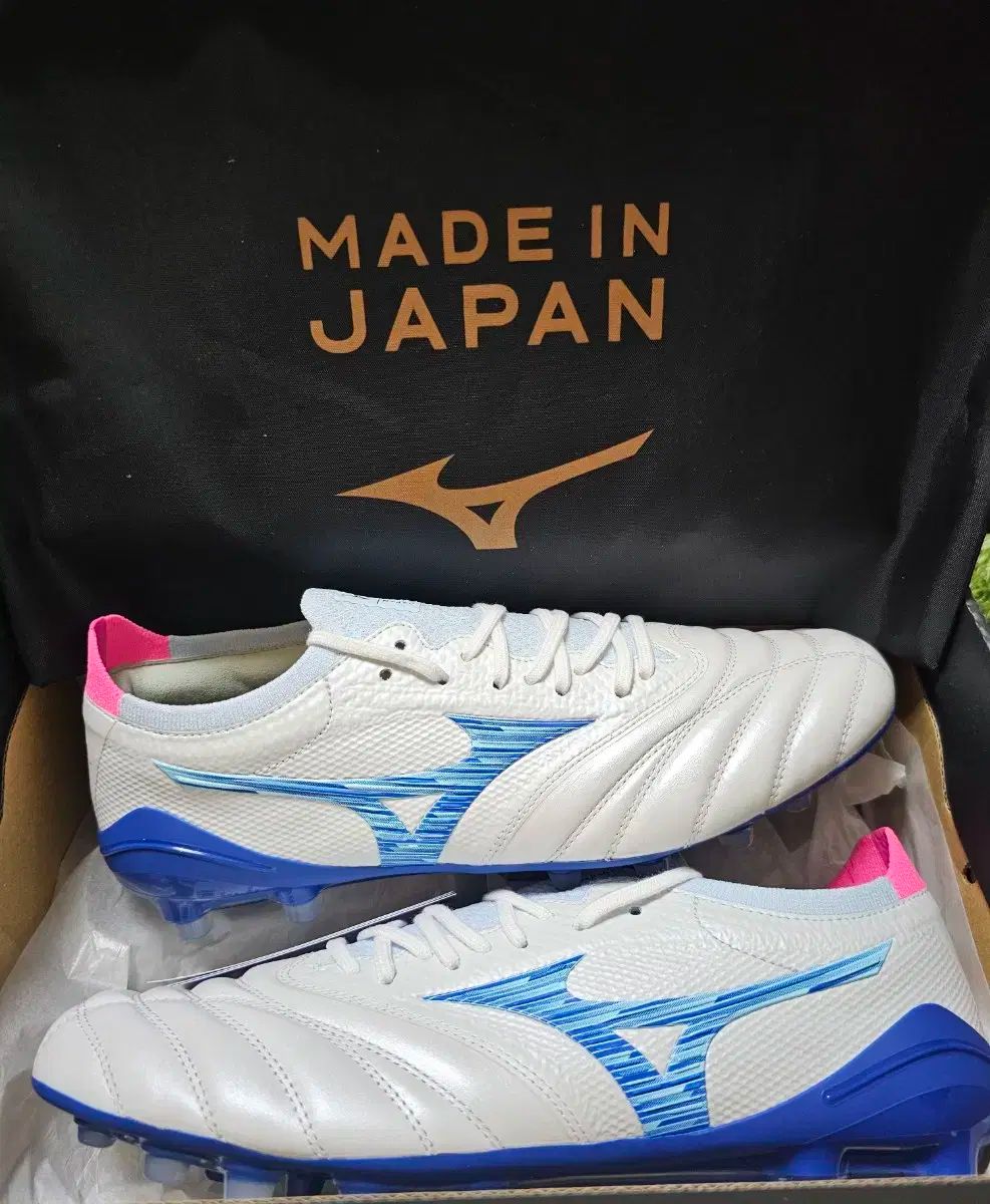 モレリア NEO₄ ベータ JPN urban electric AG