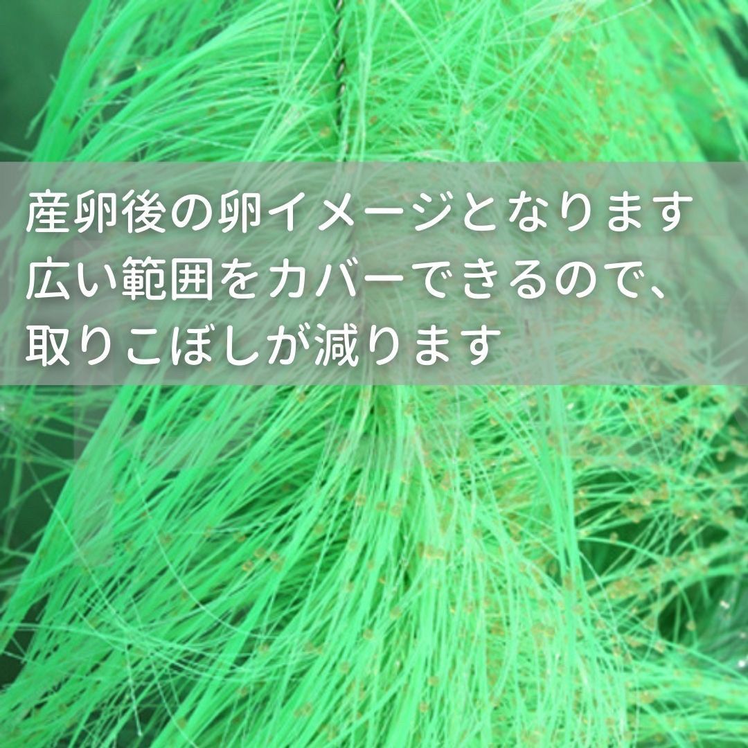 ペット