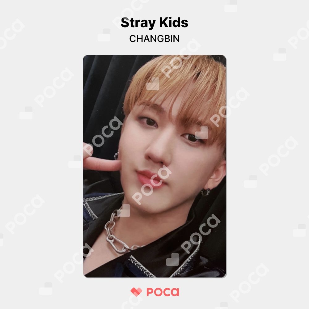 straykids チャンビン スキズ SBS 歌謡大祭典 サノク トレカ 2025新発 Straykids スキズ SBS 歌謡祭 2023 サノク チャンビン