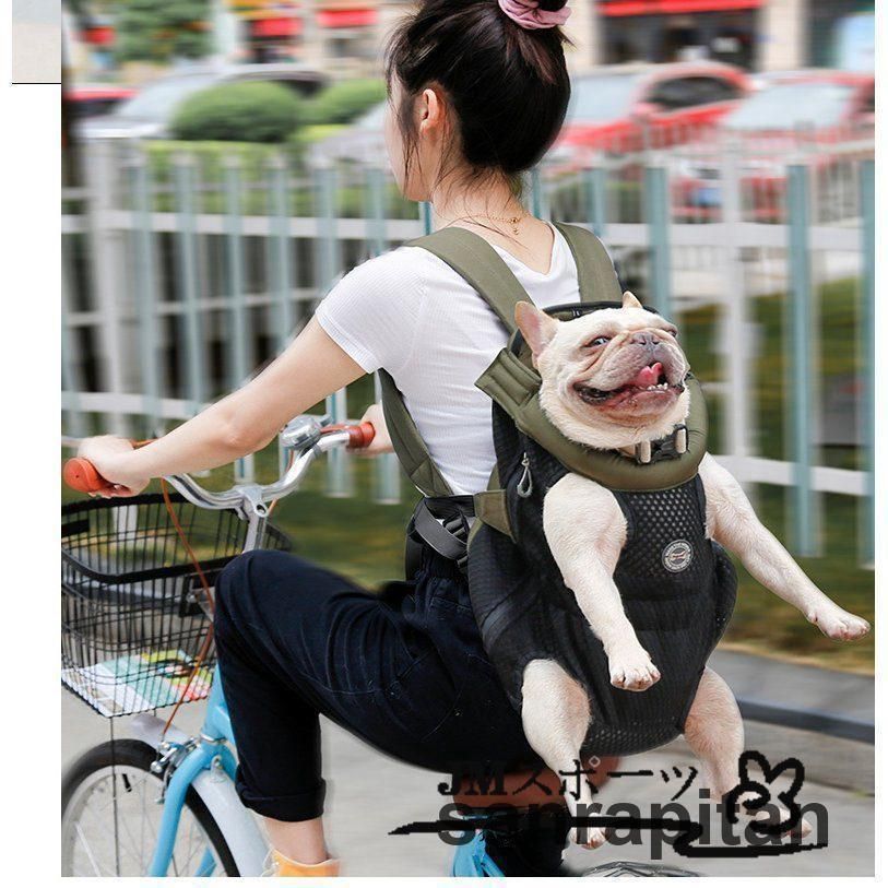 小型犬