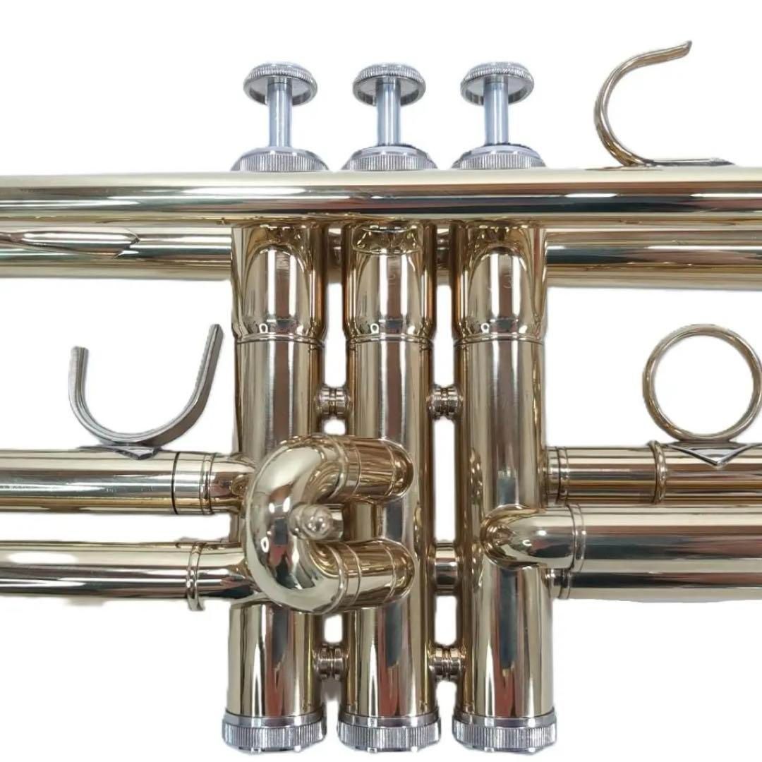 TR-200 マウスピース