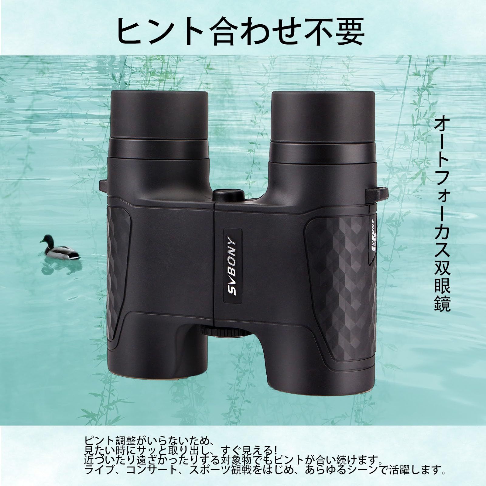 実視界5.8 °