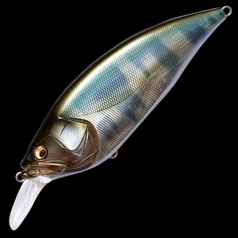 2025年最新】琵琶銀ハスの人気アイテム - メルカリ