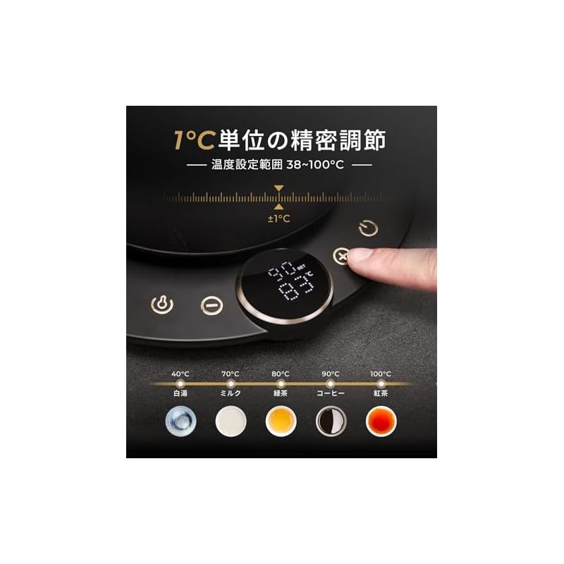 エペイオス Epeios 電気ケトル コーヒー 1°C単位の精密調節 ドリップ コーヒーポット 細口ドリップ LED表示パネル 電気ポット ドリップ ポット コンパクト0.9L 1040W 0