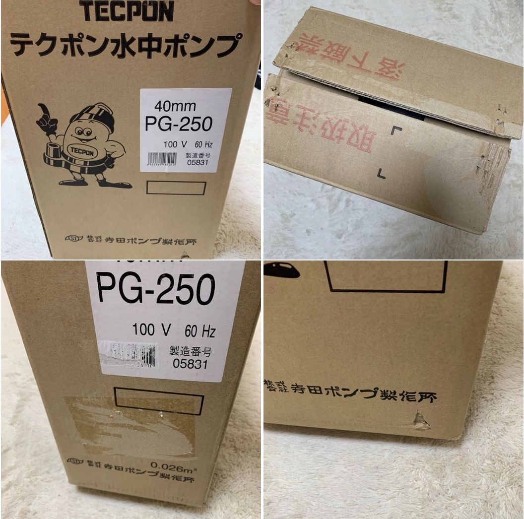 ○未使用品○寺田ポンプ製作所○水中ポンプ○PG250 100V 60Hｚ - BASE