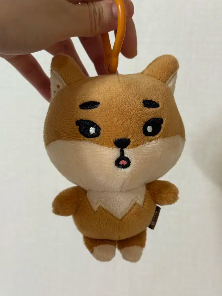 DAY6 デイシックス デニマルズ DENIMALZ ケー 22 古いバージョン