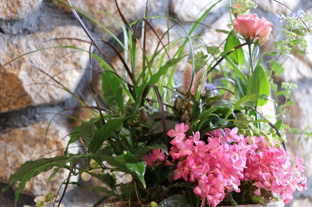 当店オリジナル