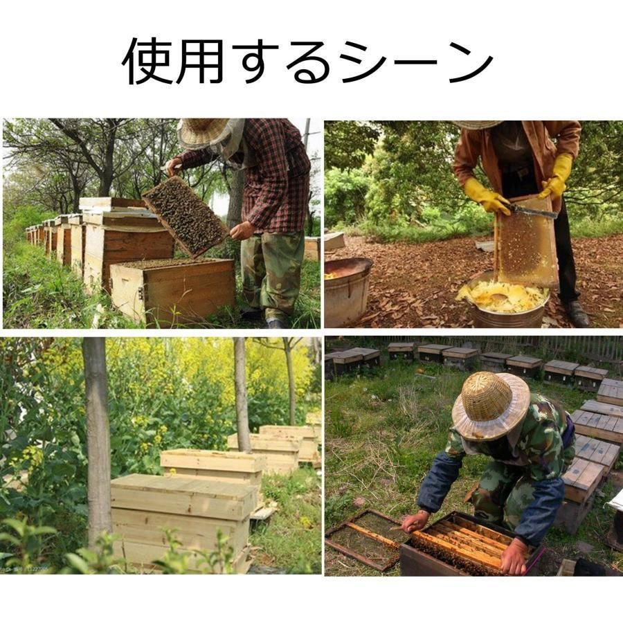 10フレームパーティション巣箱