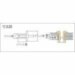 高強度ブラインドリベット