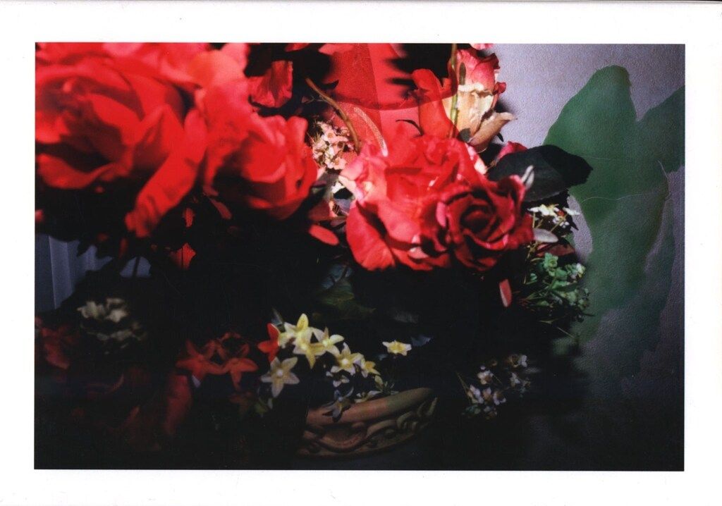 荒木経惟 青ノ時代 / 去年ノ夏. アラキネマ