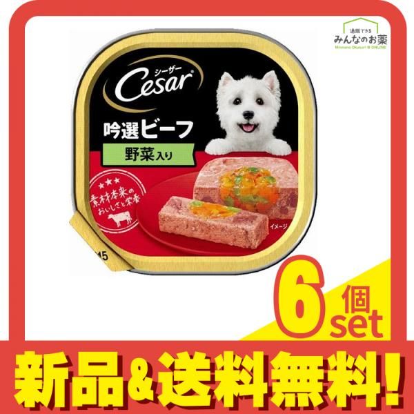 シーザー トレイ 吟撰ビーフ 野菜入り ふわふわローフタイプ 100g 6個セット まとめ売り