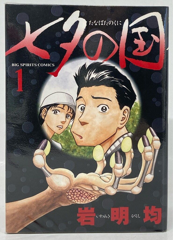 小学館 ビッグコミックス 岩明均 七夕の国 全4巻 初版セット