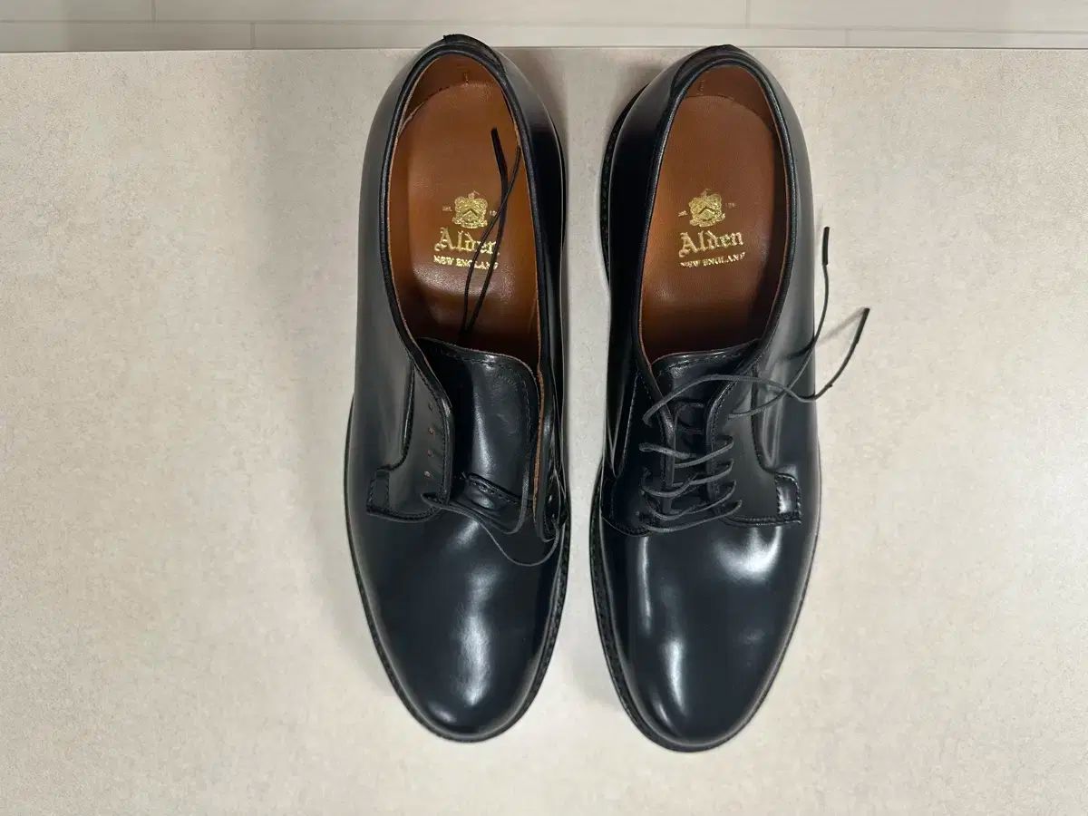 Alden オールデン 9901 8 1/2E 美品 【ALDEN】オールデン 9901 プレーントゥ コードバン
