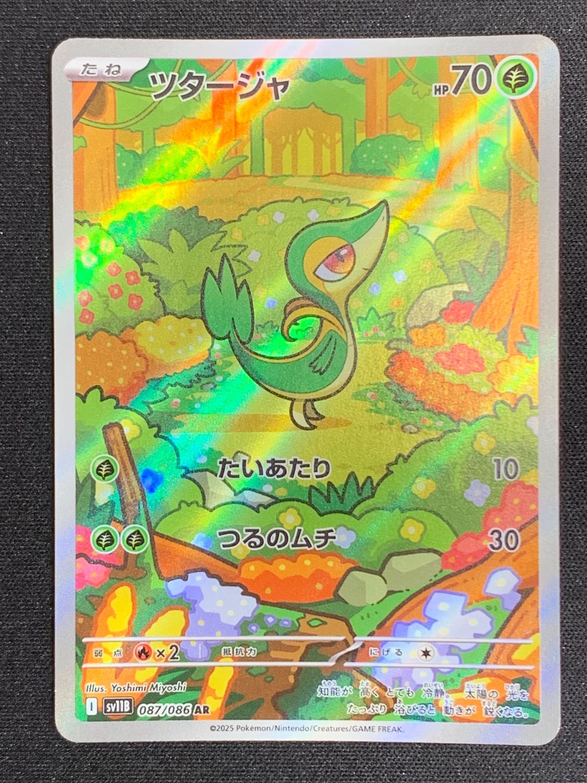 BW 御三家 ポカブ ツタージャ ミジュマル AR 進化ライン 60枚セット BW 御三家 ポカブ ツタージャ ミジュマル AR 進化ライン 60枚