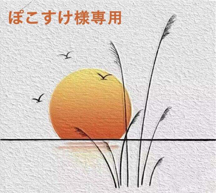 ぽこすけ様専用