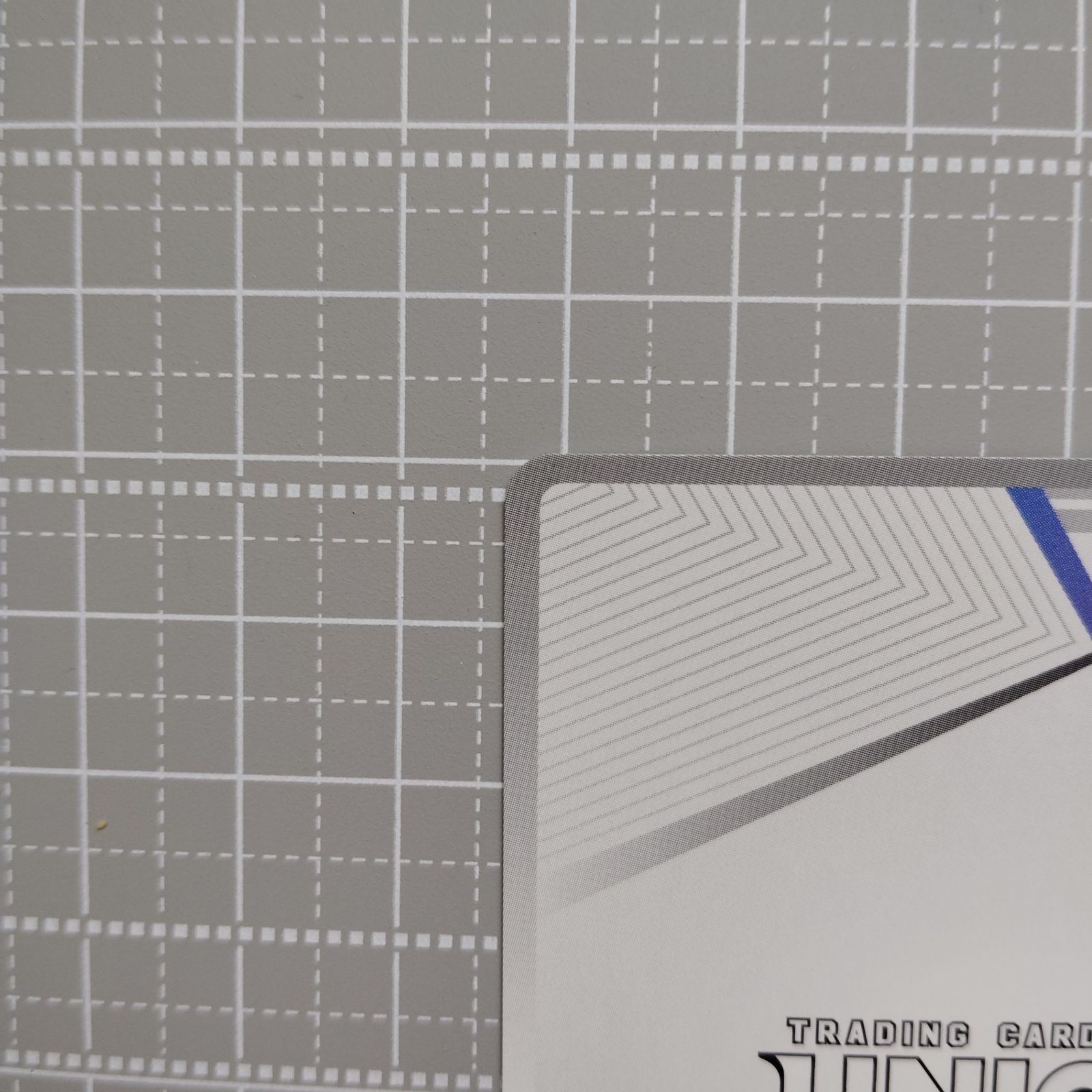 ユニオンアリーナ ブルーアーカイブ ワカモ AP 中国限定 - メルカリ