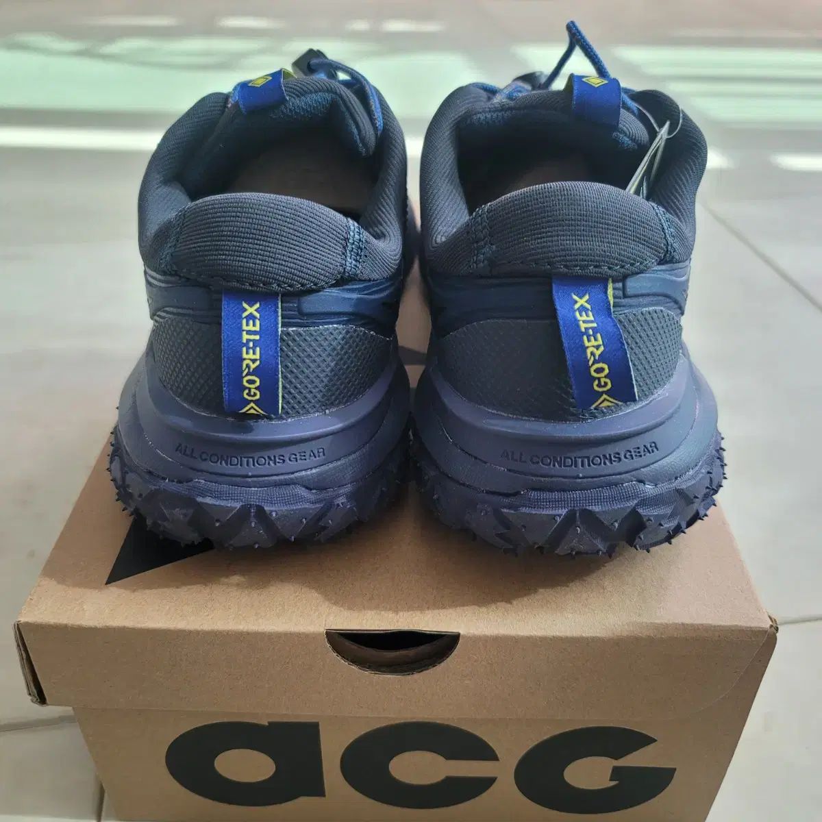 ナイキ NIKE ACG マウンテンマウンテン フライ フライ 2 ロー ゴアテックス GORE-TEX 280