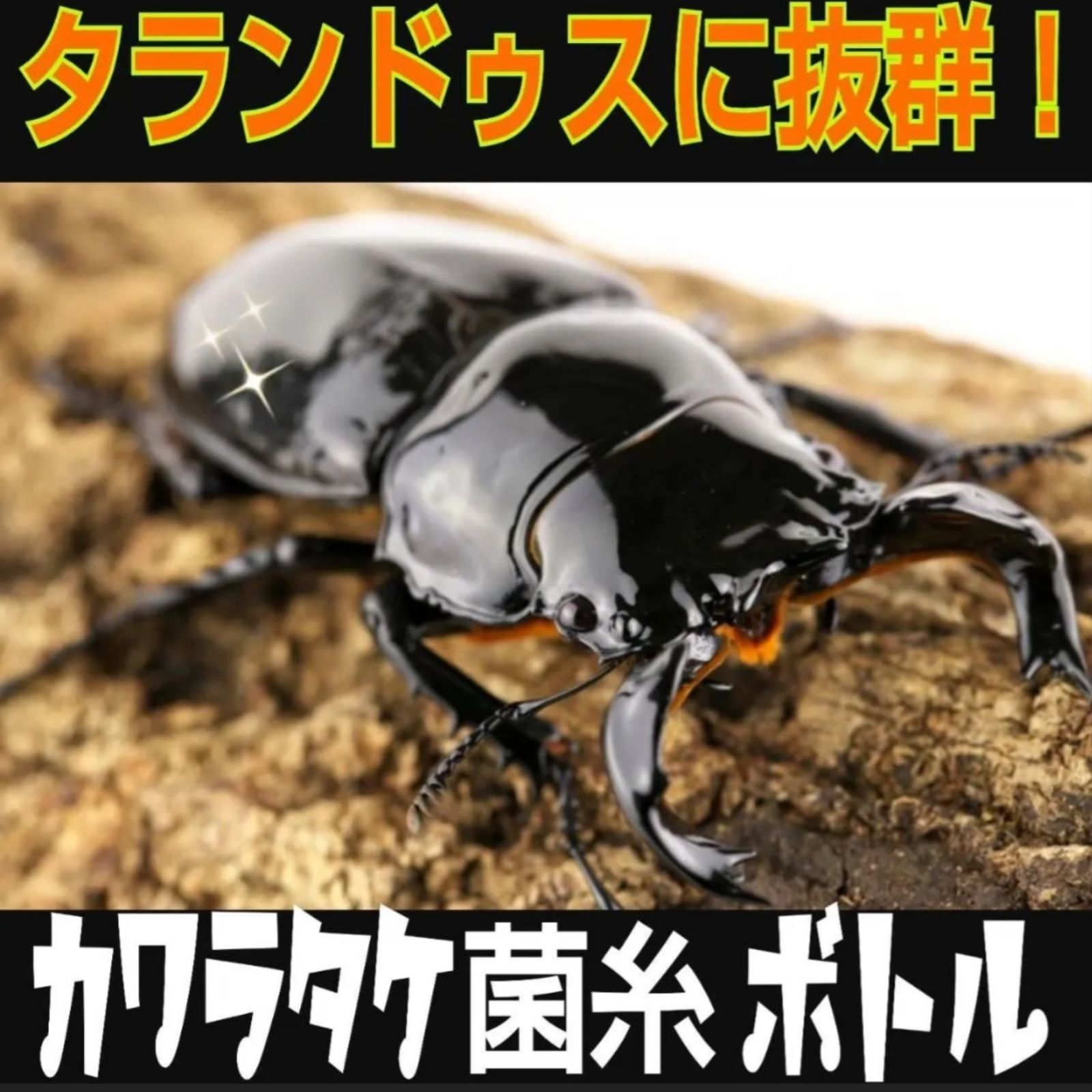 カワラタケ菌糸瓶1100ml 【8本】トレハロース強化配合！クワガタ全般