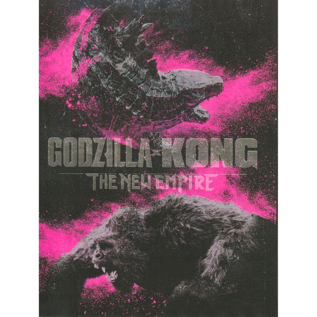 送料無料 】 ゴジラ x コング 新たなる帝国 映画 チラシ 2種