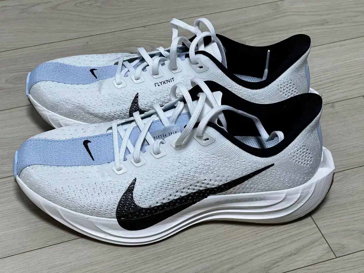NIKE ナイキ ペガサス プラス 250