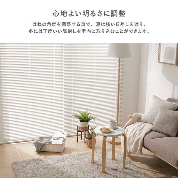 カーテンレール対応
