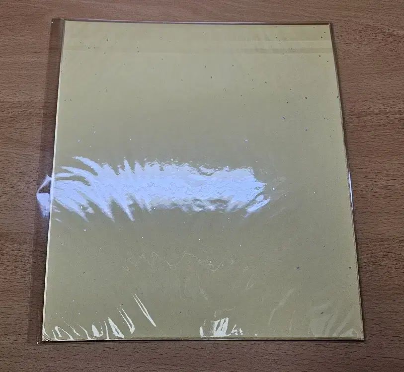 鬼滅の刃 特典 大型ビジュアル色紙 時透 無一郎