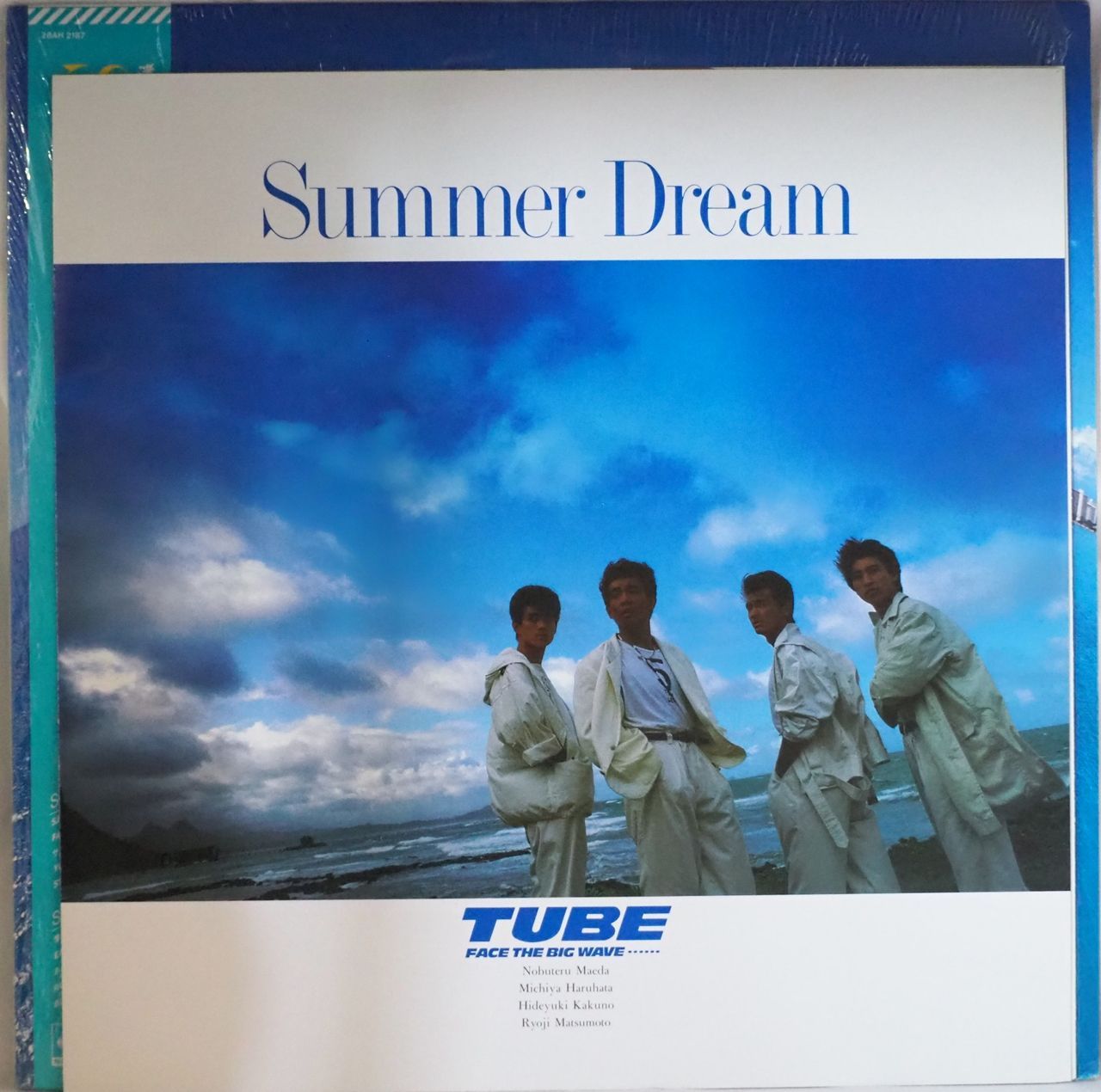 TUBE（チューブ）／SUMMER DREAM - メルカリ