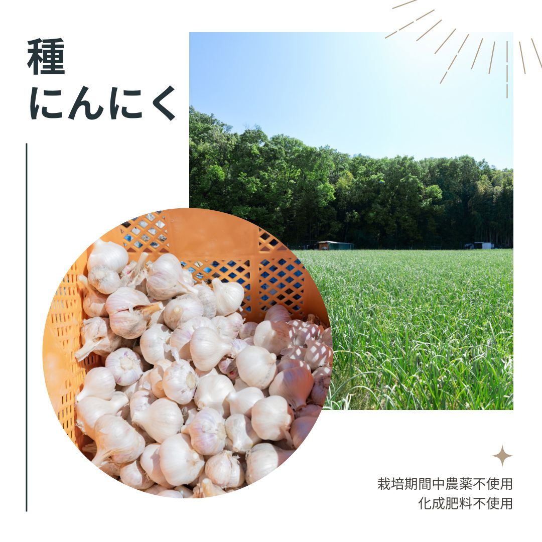 山東