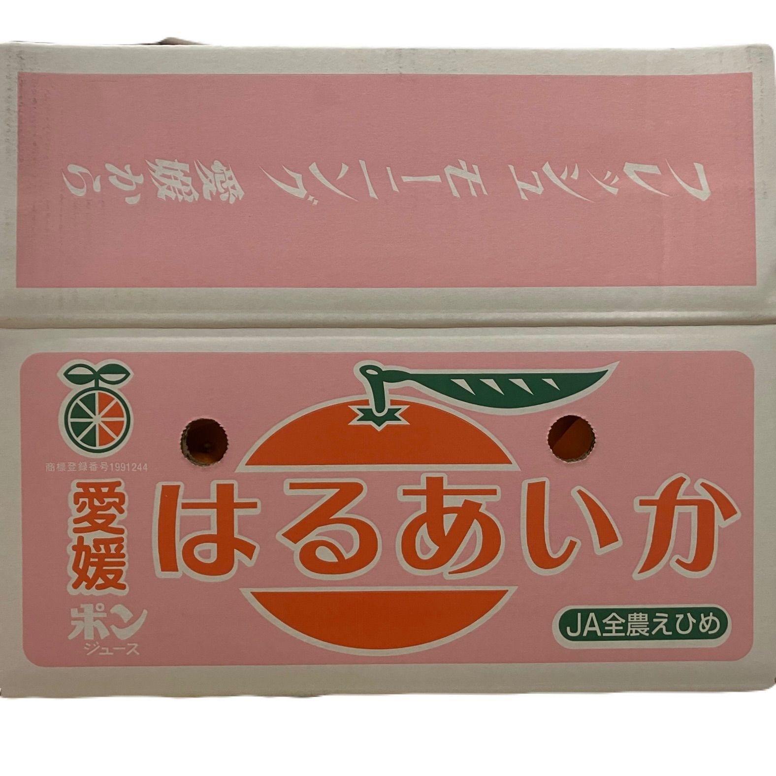 箱込 紅プリンセス同品種