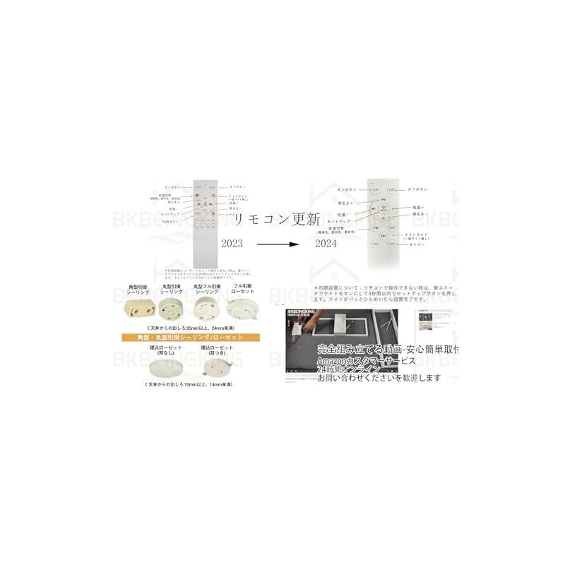 日本語説明書付 BKBEINGKING