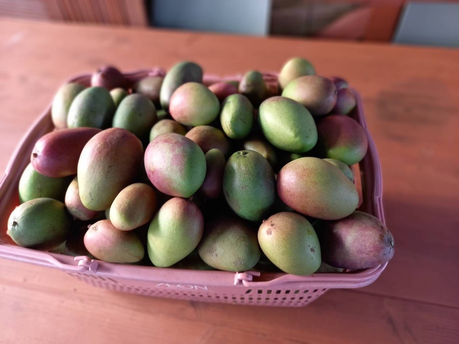 新鮮】摘果マンゴー15kg, - 果物