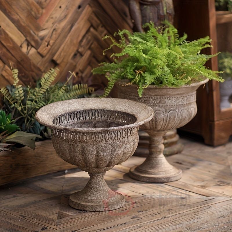 現品販売です！サボテン大王キリン・スクエアー白陶器鉢入り 6号鉢陶器