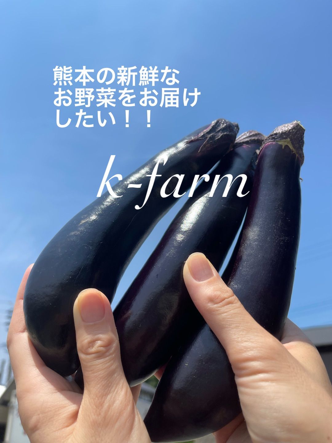 ナス
