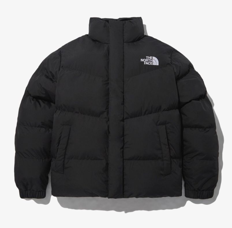 THE NORTH FACE ノースフェイス ダウンジャケット メンズ