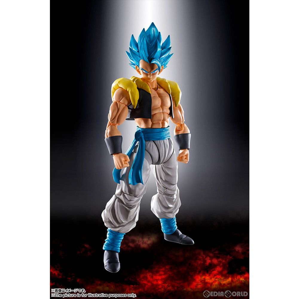 S.H.Figuarts(フィギュアーツ) スーパーサイヤ人ゴッドスーパーサイヤ人ゴジータ ドラゴンボール超(スーパー) ブロリー 完成品  可動フィギュア バンダイスピリッツ - メルカリ