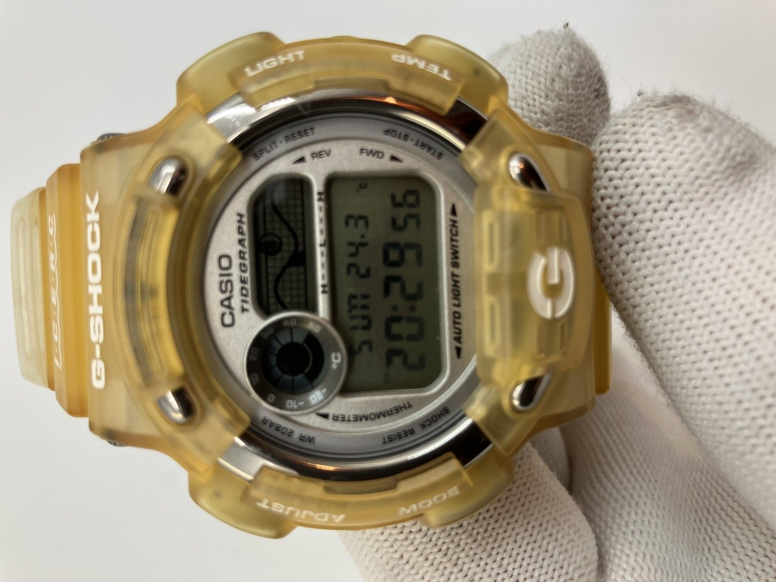 カシオ G-SHOCK DW-8600K イルカ・クジラ会議モデル 腕時計