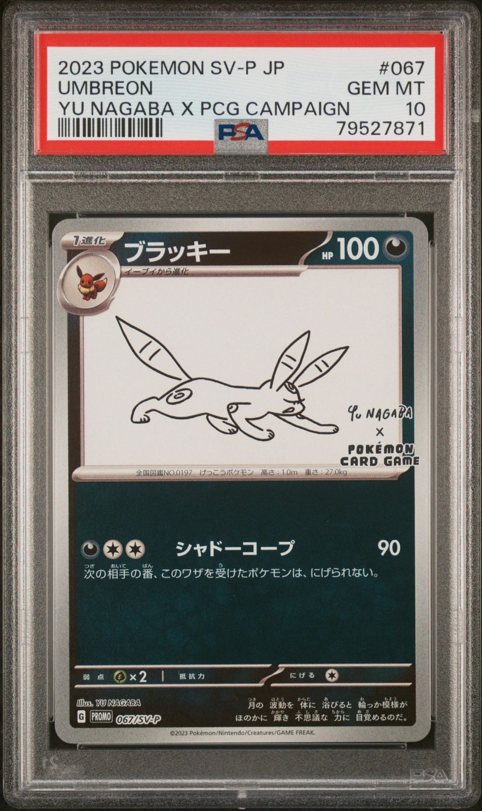【お気に入り】 BGS 10 bg339 長場雄 nagaba ブラックラベル】ブラッキー ポケモンカードゲーム