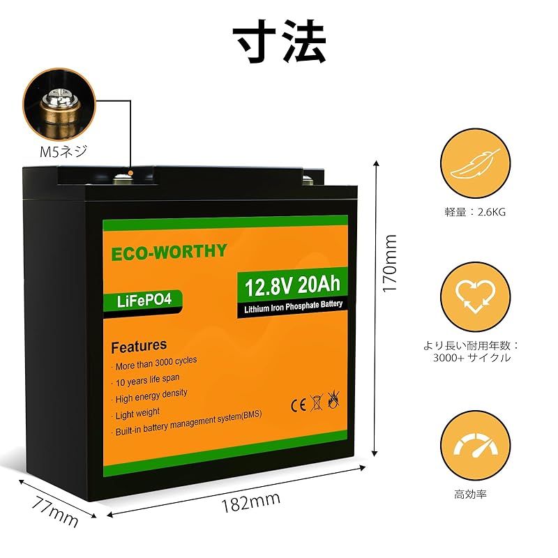 20AH 256Wh