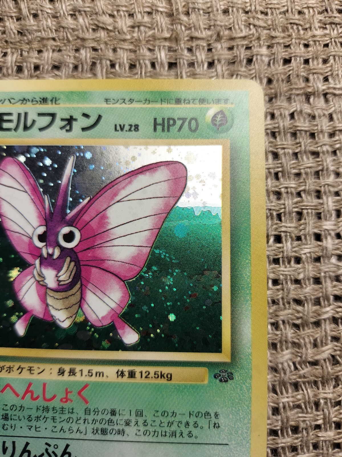 NO013_モルフォン_ポケモンカード_旧裏 - メルカリ